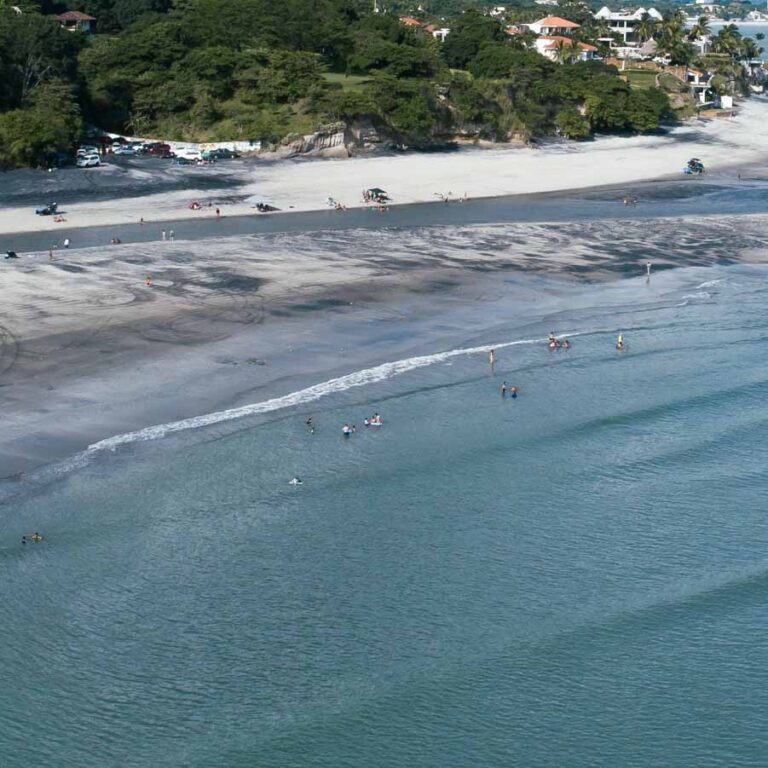 mamey-04